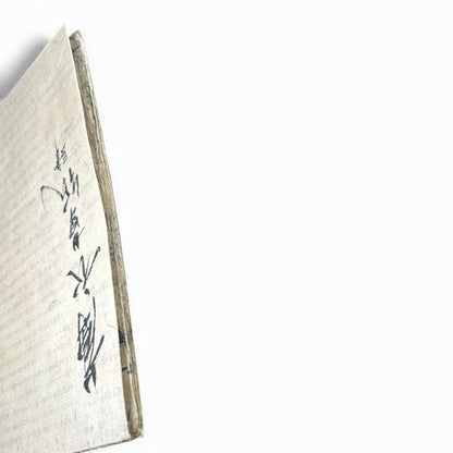 Tōei Meika Shōsetsu (唐永名家小説) | Edo Period Japanese Fiction Book | Woodblock Print - B182