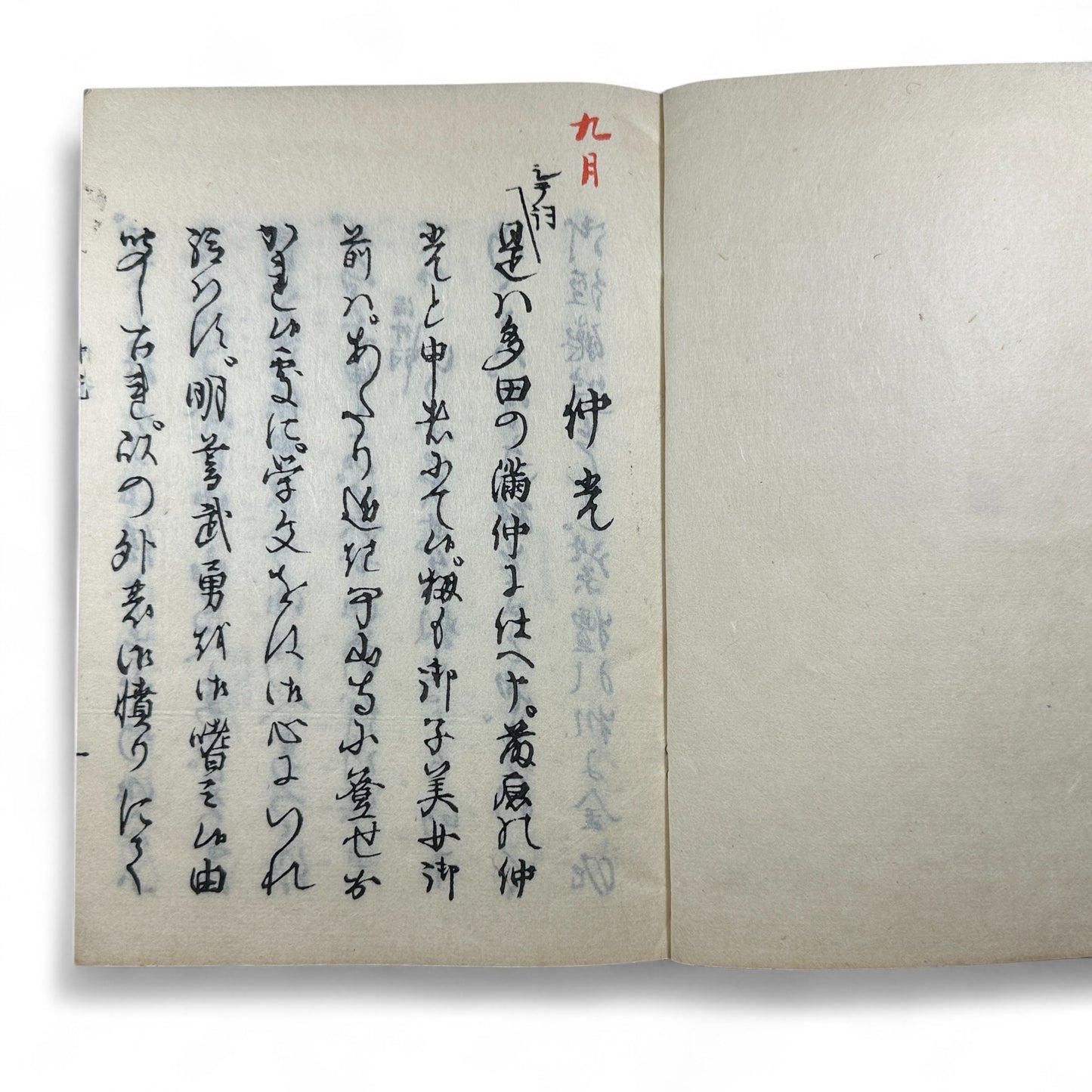 仲光 (Nakamitsu) – Meiji 7 (1874) Japanese Classic Book – Samurai Tragedy & Loyalty Tale – Edo-Meiji Literature – Woodblock Print-B30