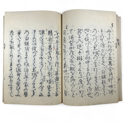 仲光 (Nakamitsu) – Meiji 7 (1874) Japanese Classic Book – Samurai Tragedy & Loyalty Tale – Edo-Meiji Literature – Woodblock Print-B30