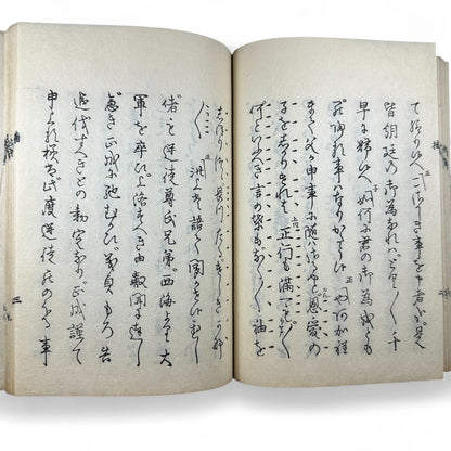 仲光 (Nakamitsu) – Meiji 7 (1874) Japanese Classic Book – Samurai Tragedy & Loyalty Tale – Edo-Meiji Literature – Woodblock Print-B30