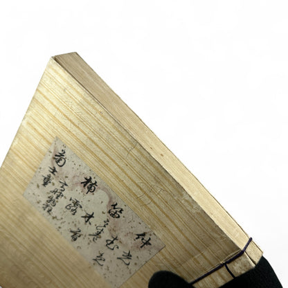 仲光 (Nakamitsu) – Meiji 7 (1874) Japanese Classic Book – Samurai Tragedy & Loyalty Tale – Edo-Meiji Literature – Woodblock Print-B30