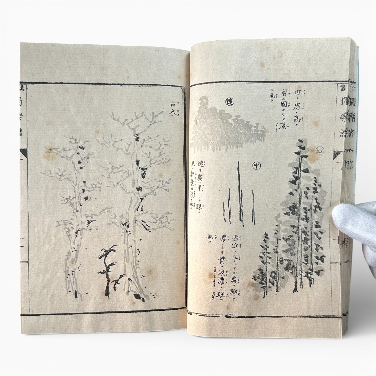 Meiji Period Kanga Dokugaku Gafu 下｜漢画独学画譜 下｜Meiji Era Japanese Painting Manual (1895) - B190