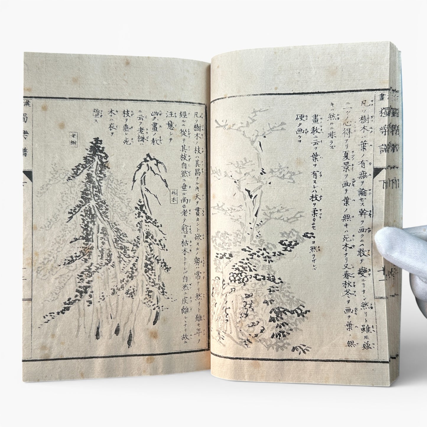 Meiji Period Kanga Dokugaku Gafu 下｜漢画独学画譜 下｜Meiji Era Japanese Painting Manual (1895) - B190