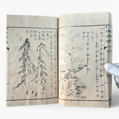 Meiji Period Kanga Dokugaku Gafu 下｜漢画独学画譜 下｜Meiji Era Japanese Painting Manual (1895) - B190