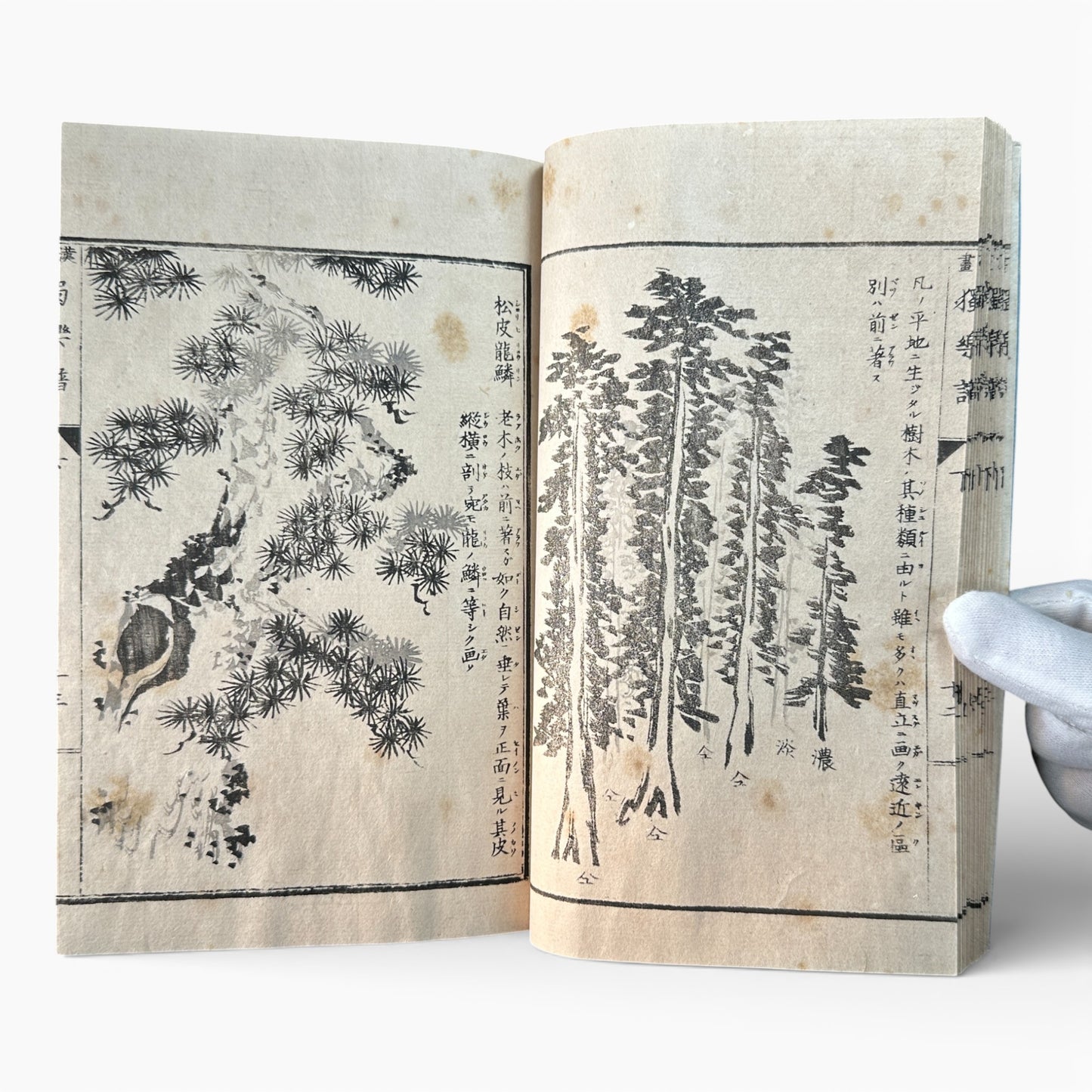 Meiji Period Kanga Dokugaku Gafu 下｜漢画独学画譜 下｜Meiji Era Japanese Painting Manual (1895) - B190