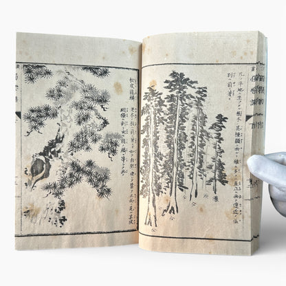 Meiji Period Kanga Dokugaku Gafu 下｜漢画独学画譜 下｜Meiji Era Japanese Painting Manual (1895) - B190