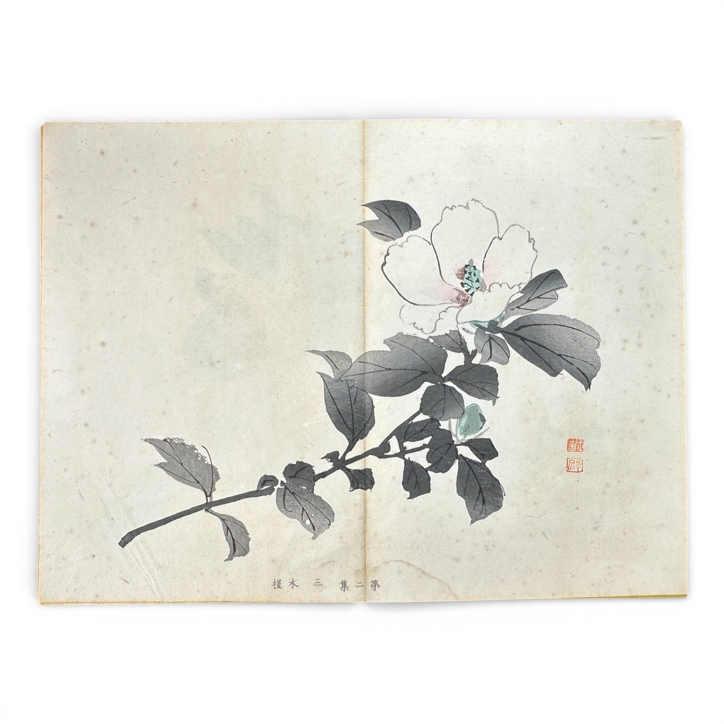 Shūsho Hyakudai Vol. 2 – Antique Japanese Painting Album, Meiji Period (1900s), Botanical & Genre Art - B196
