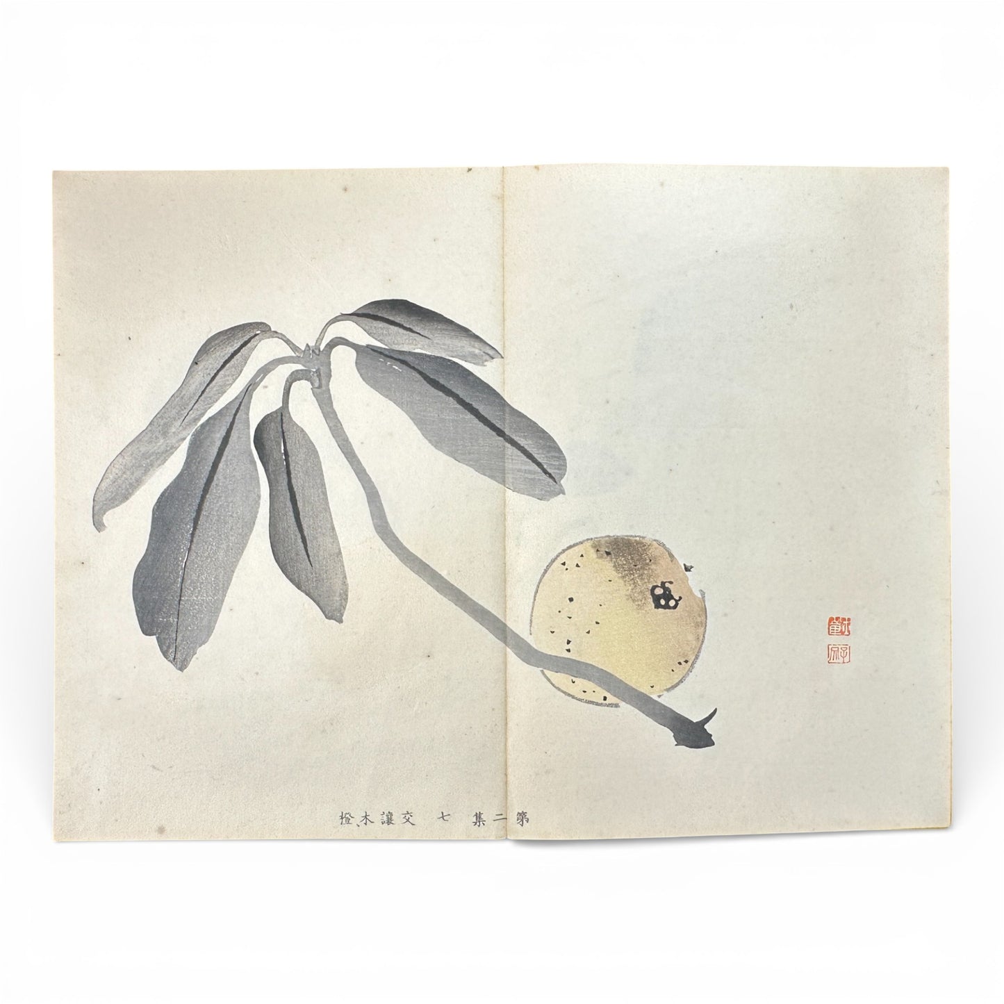 Shūsho Hyakudai Vol. 2 – Antique Japanese Painting Album, Meiji Period (1900s), Botanical & Genre Art - B196