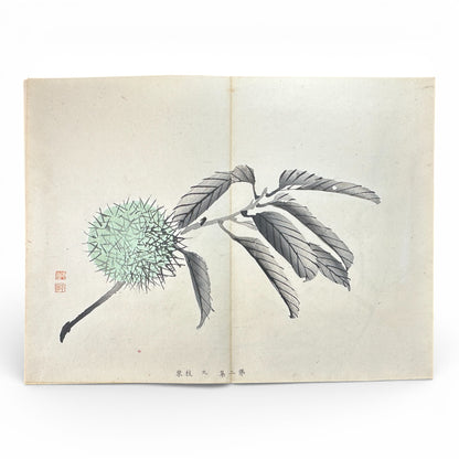 Shūsho Hyakudai Vol. 2 – Antique Japanese Painting Album, Meiji Period (1900s), Botanical & Genre Art - B196