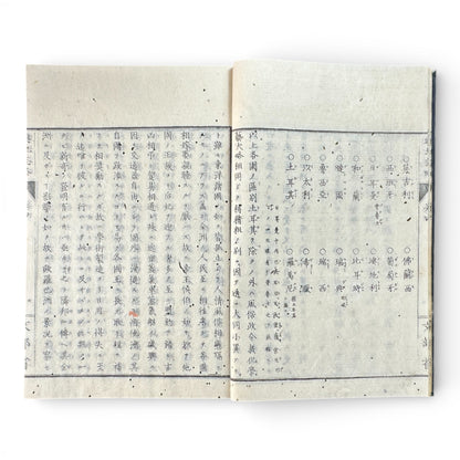 Kōchishiryaku Vol. 2 – Antique Japanese Geography Book, Meiji 24 (1891), Ministry of Education, Europe Maps & Engravings - B198