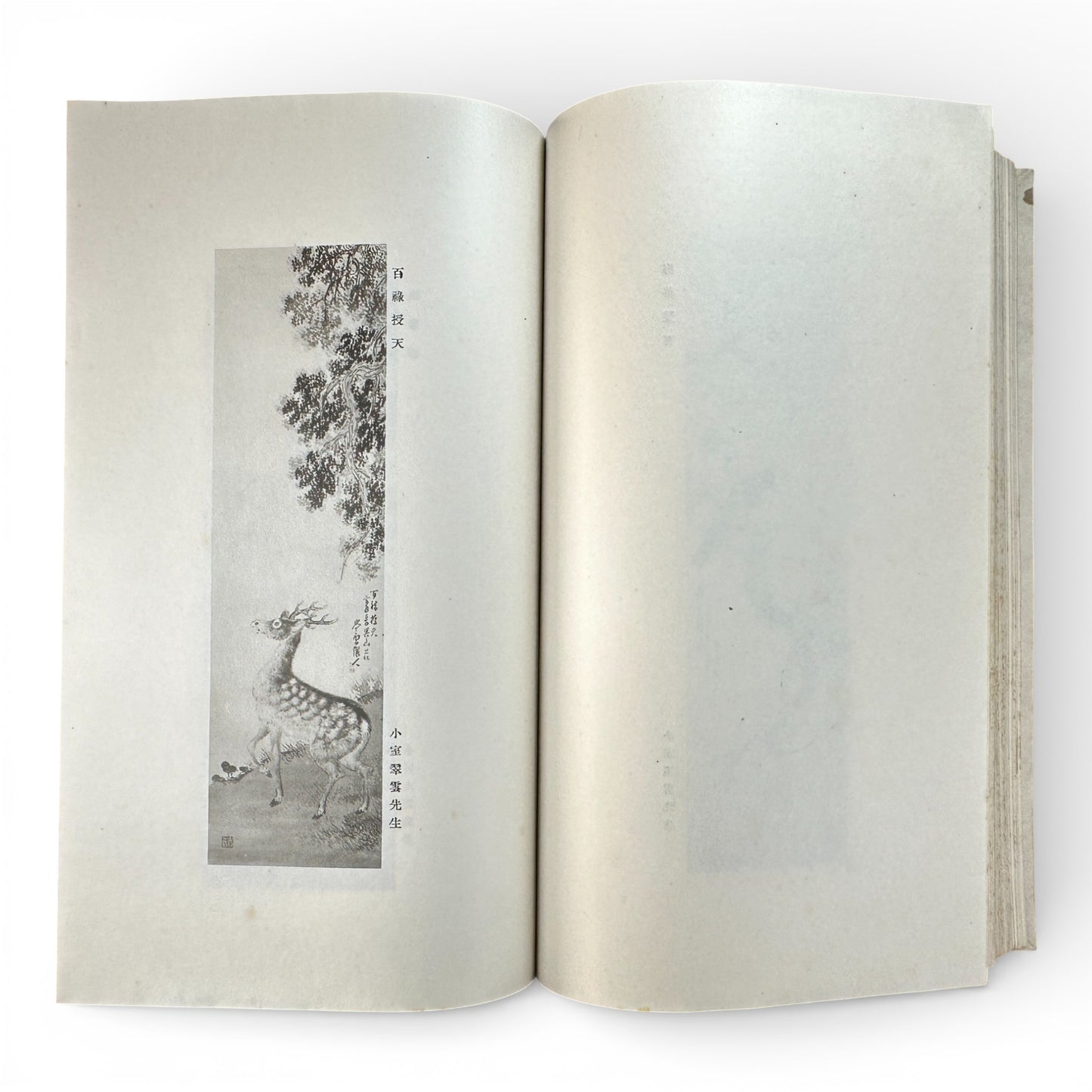 Saikin Gajō Vol. 1 (Part One) – Antique Japanese Art Album, Calligraphy & Painting Collection, Early Shōwa Period - B199