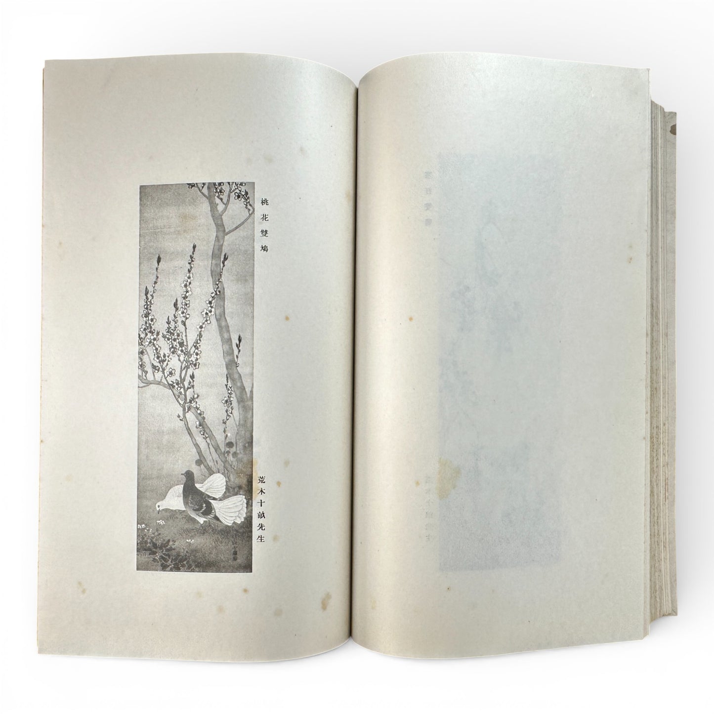 Saikin Gajō Vol. 1 (Part One) – Antique Japanese Art Album, Calligraphy & Painting Collection, Early Shōwa Period - B199