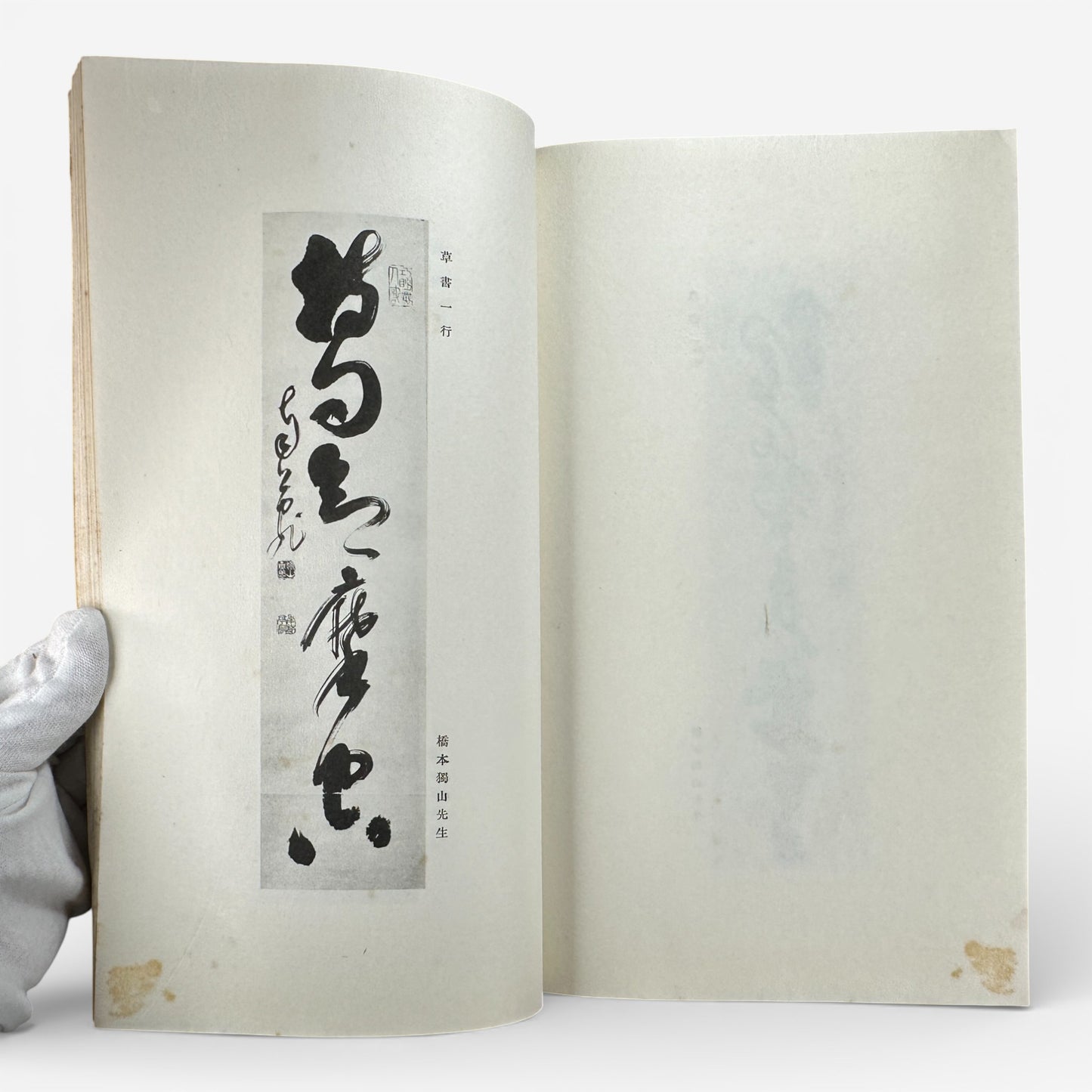 Saikin Gajō Vol. 1 (Part One) – Antique Japanese Art Album, Calligraphy & Painting Collection, Early Shōwa Period - B199